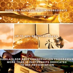 Abeille Royale Coffret Tratamento de Mel Creme de Dia e Noite
