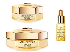 Abeille Royale Programa Antienvelhecimento Creme de Dia