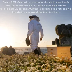 Abeille Royale Tratamento Honey Bond Sem Enxaguar