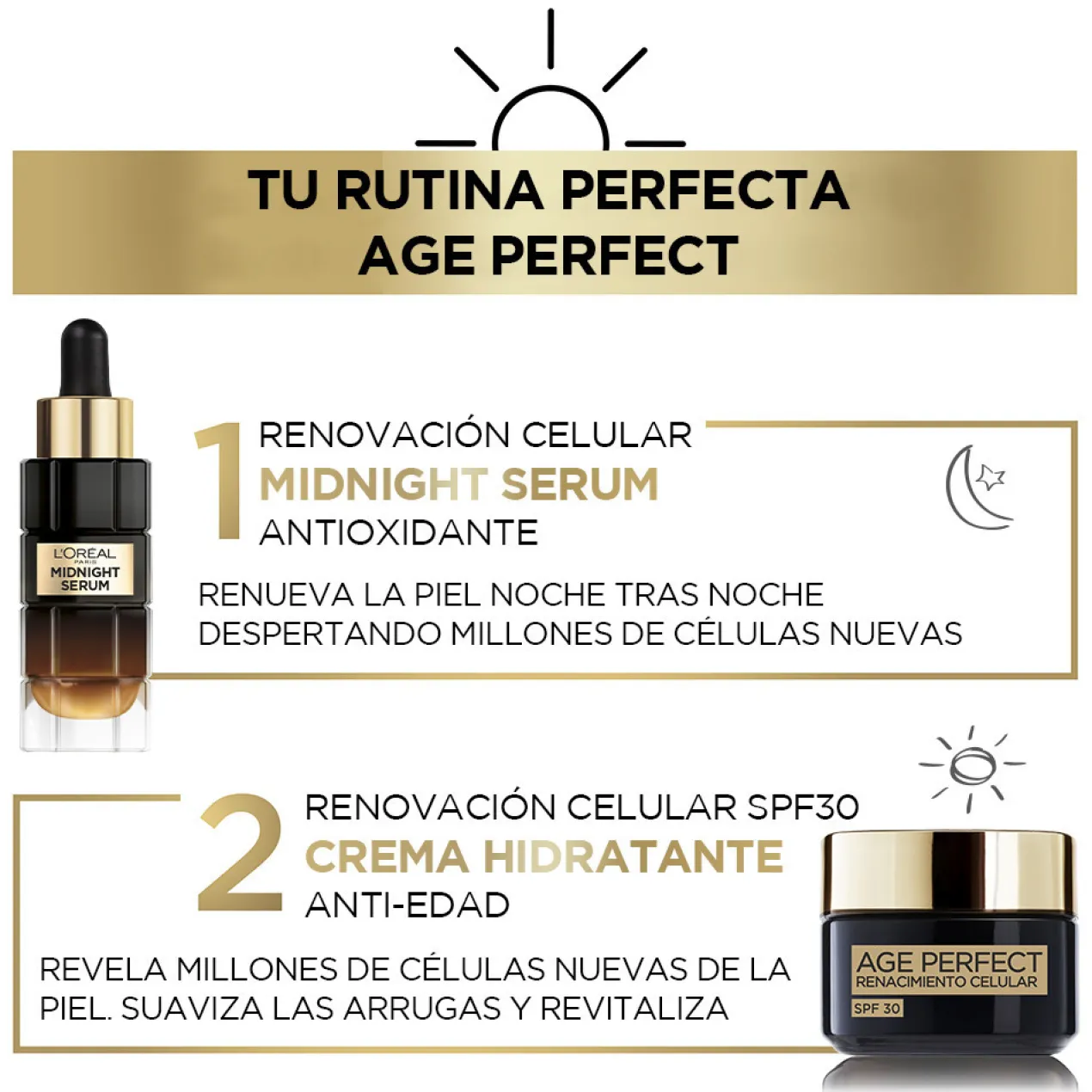 Age Perfect Renascimento Celular Creme Regenerador SPF30 com Complexo Antioxidante