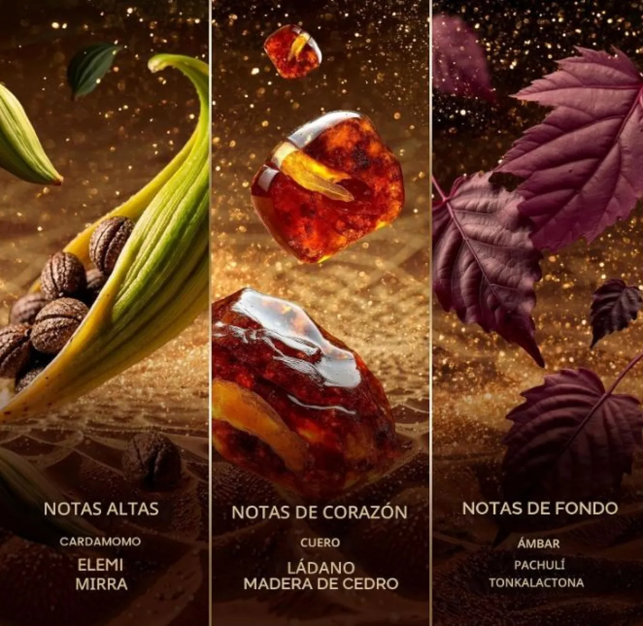 Amberwood Nomad Eau de Parfum