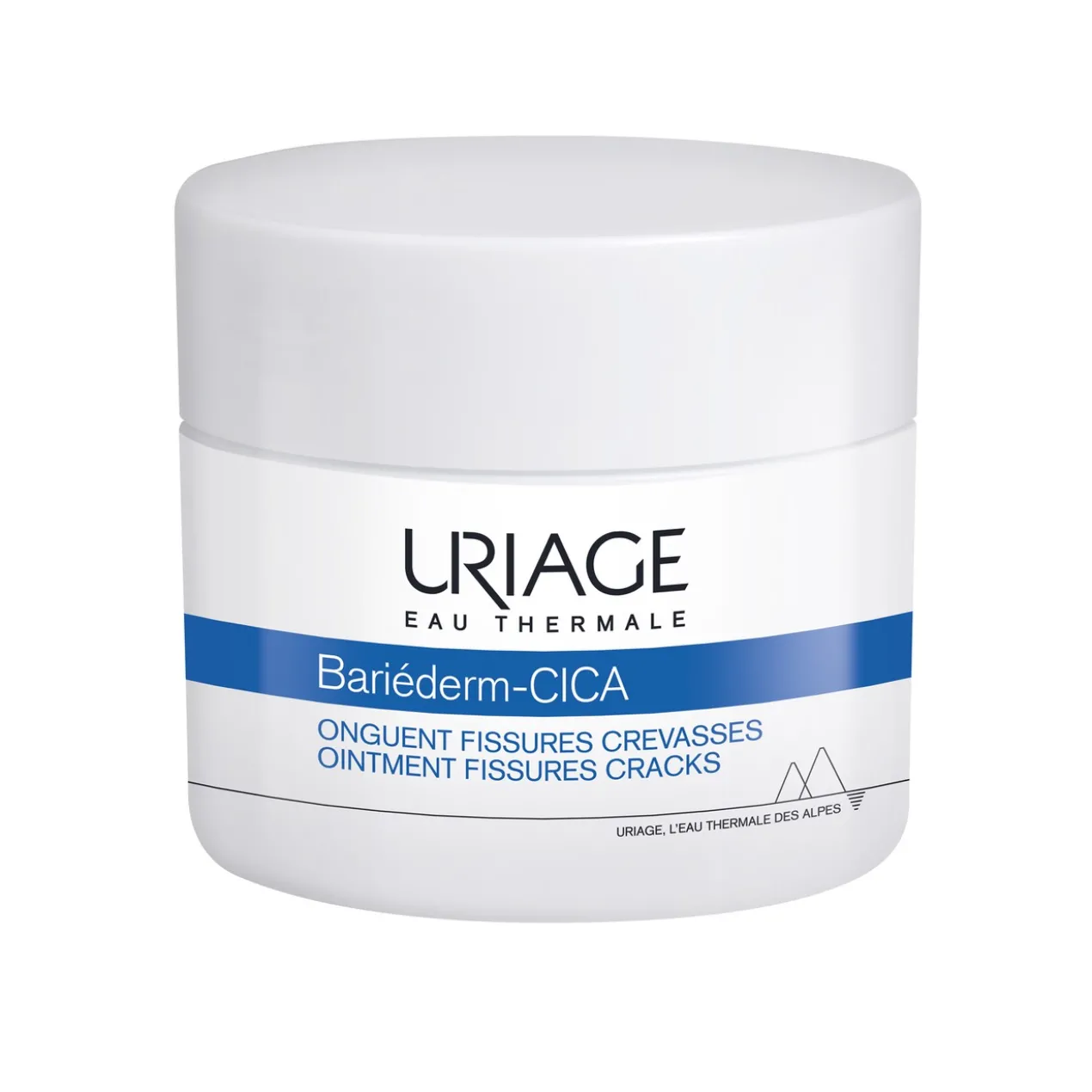 Bariederm Unguento Reparador