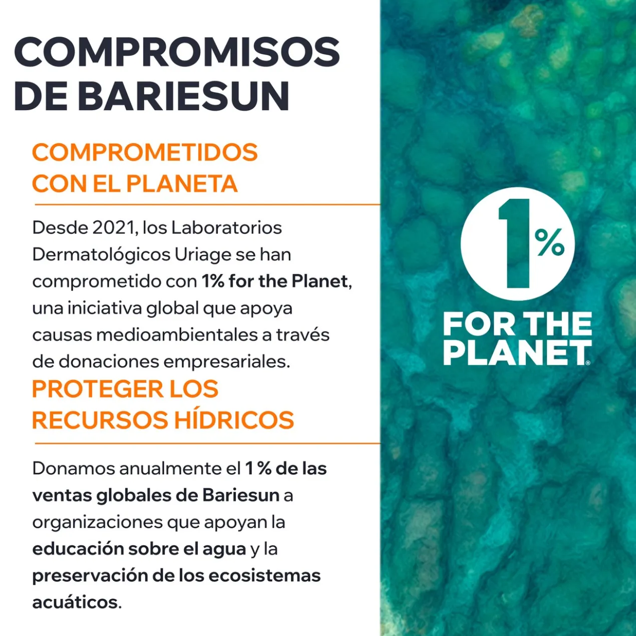 Bariesun Aqua Fluido Ultra Mate SPF50+