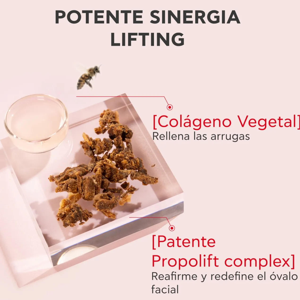Beevine Elixir Creme Lifting Firmeza e Rugas