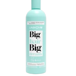 Big Hair Big Dreams Résistance Champô