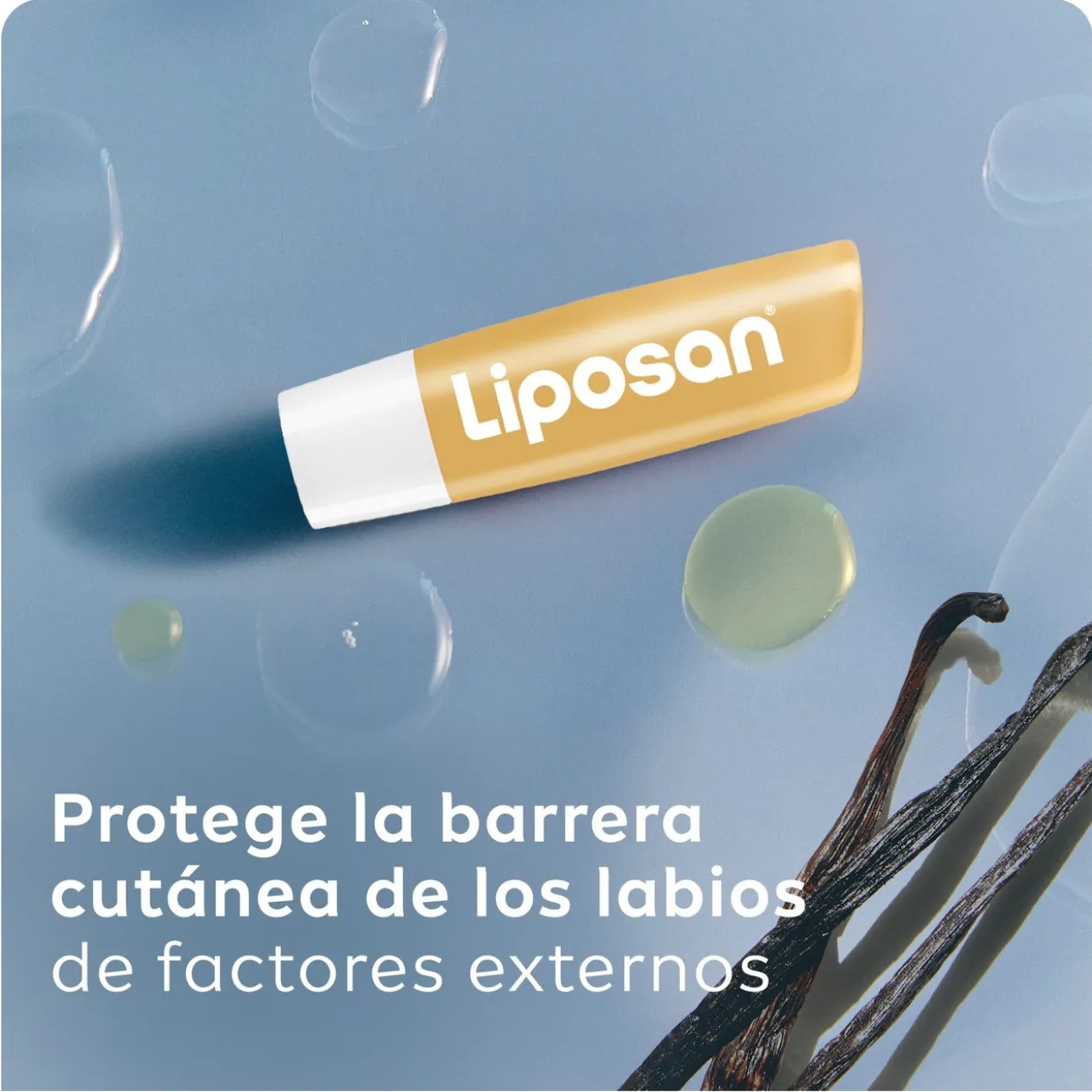 Bálsamo Labial Lip Butter