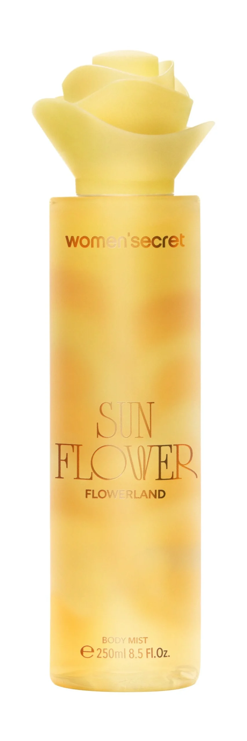 Bruma Corporal Sun Flower Flowerland