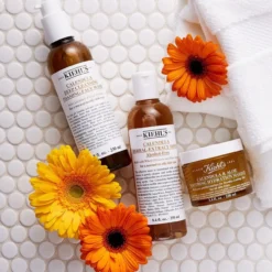 Calendula Herbal Extract Alcohol-Free Tónico de Calêndula