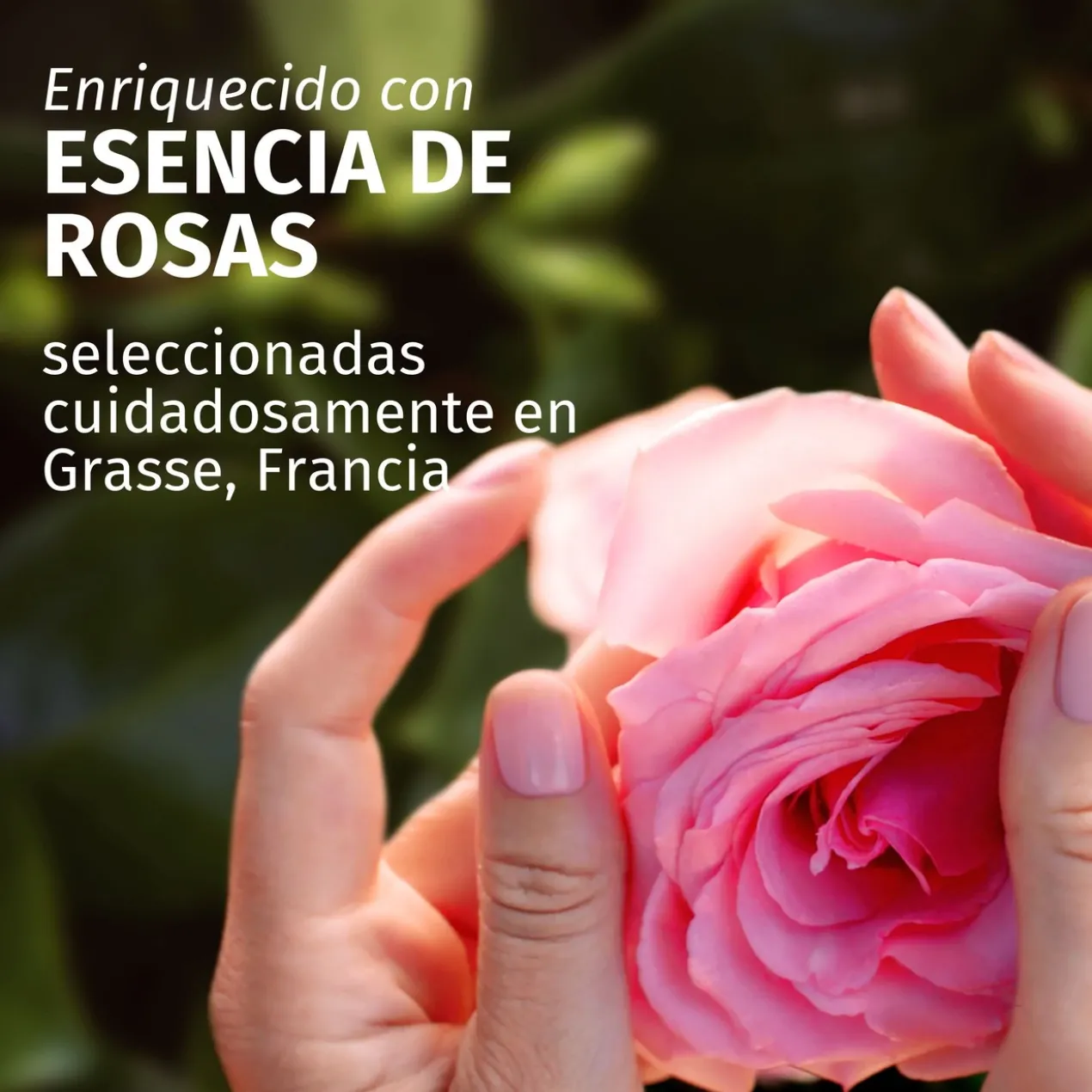 Champô Aroma a Rosas