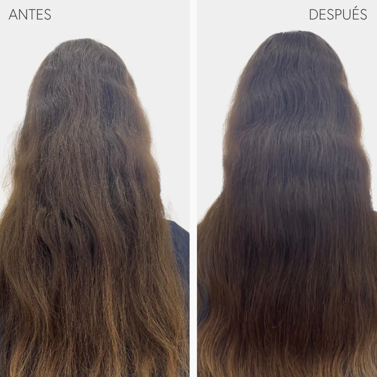 Champô Bathman Detox Hair