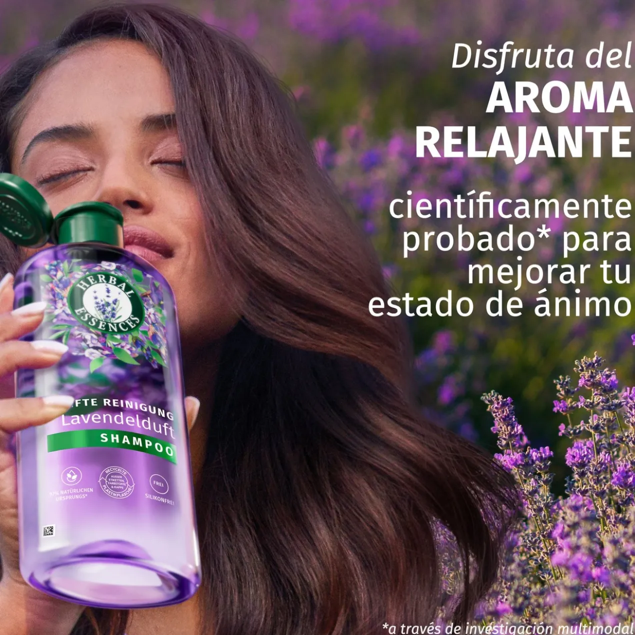 Champô com Aroma a Lavanda
