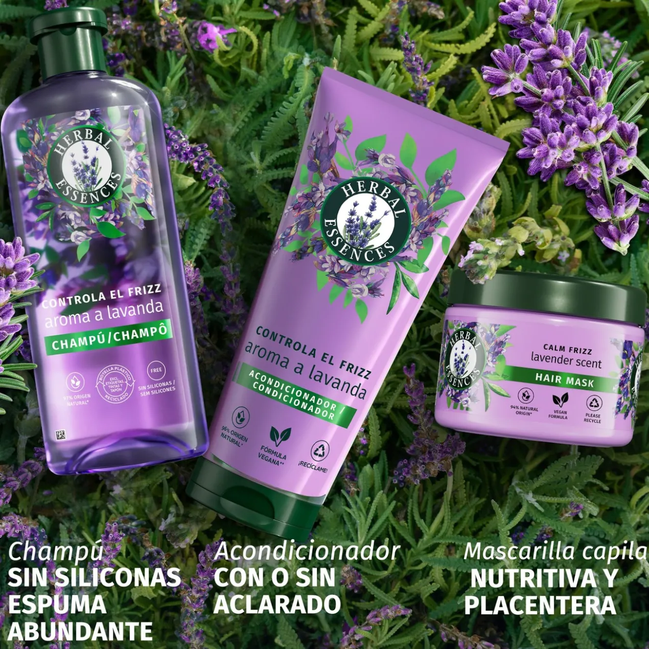 Champô com Aroma a Lavanda