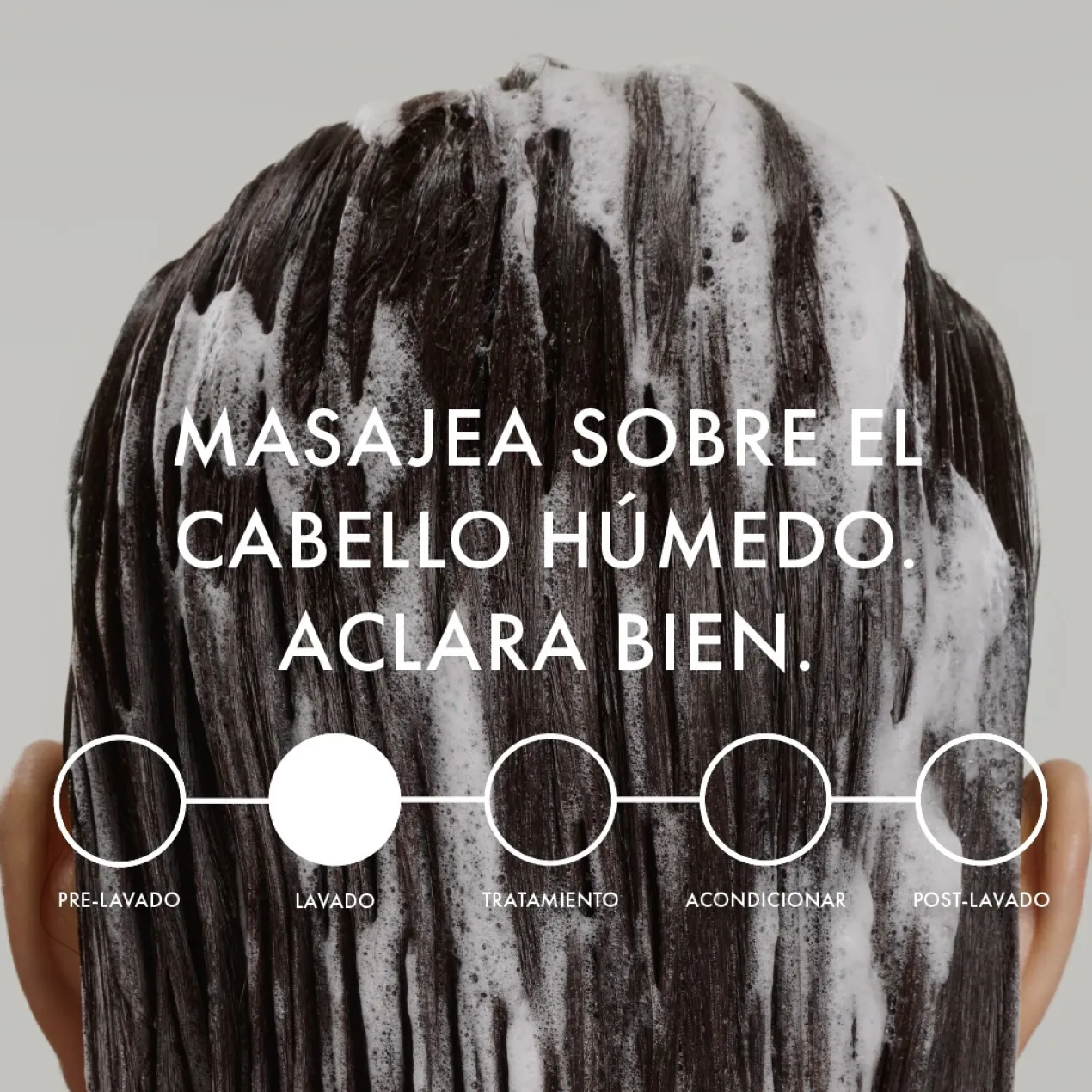 Champô Frizz Ease Miraculous Recovery