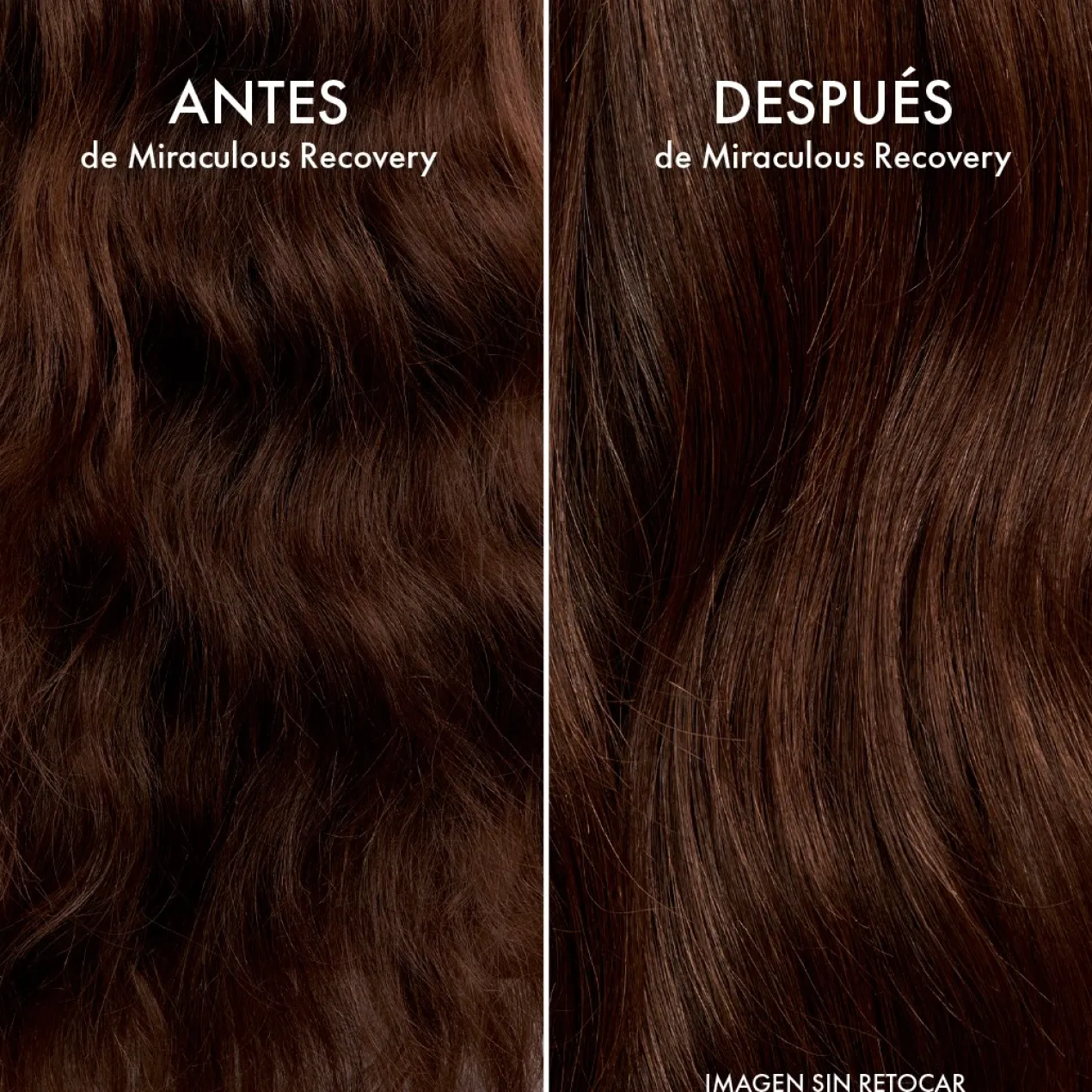 Champô Frizz Ease Miraculous Recovery