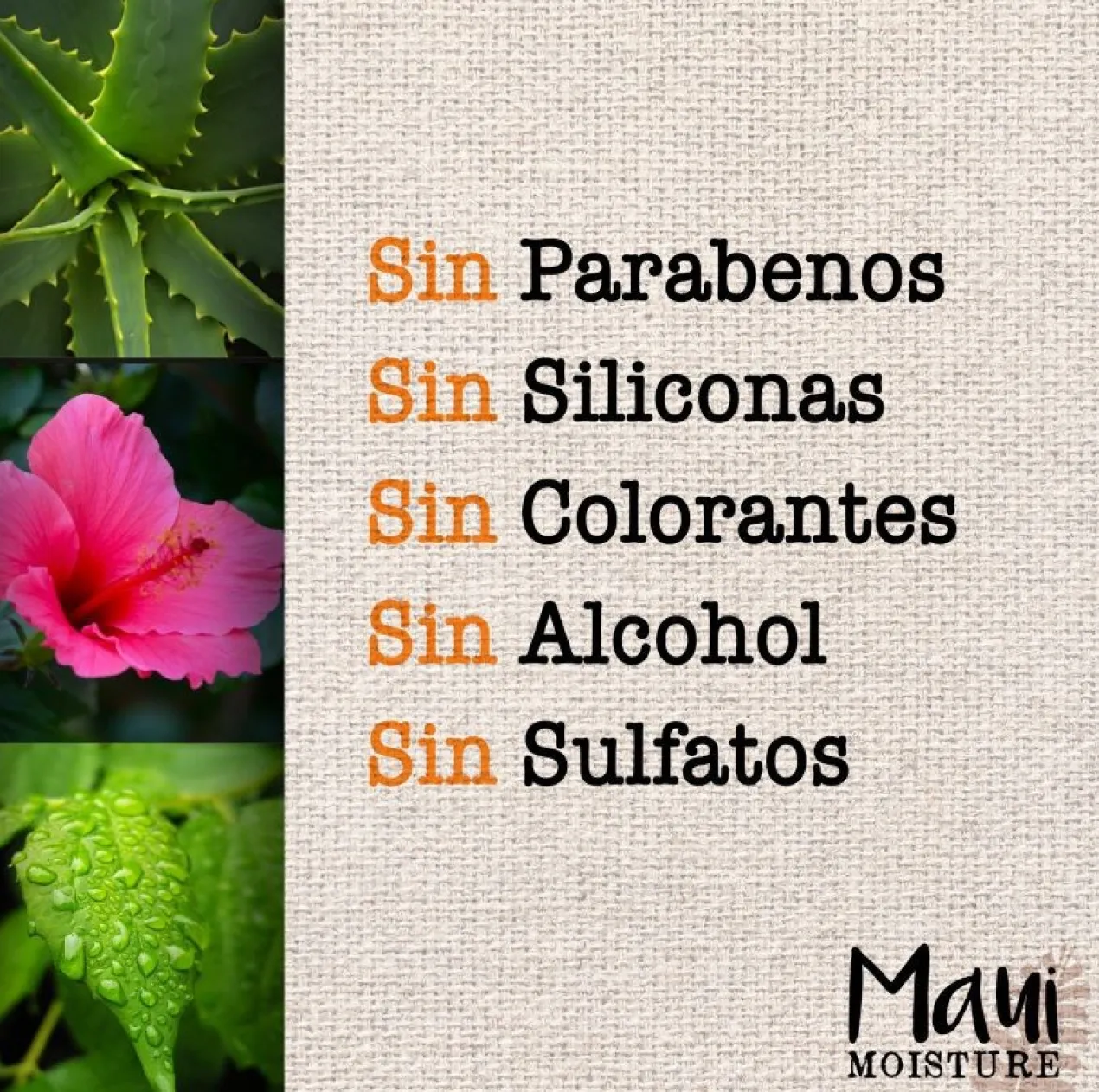 Champô Hidratante com Água de Hibisco