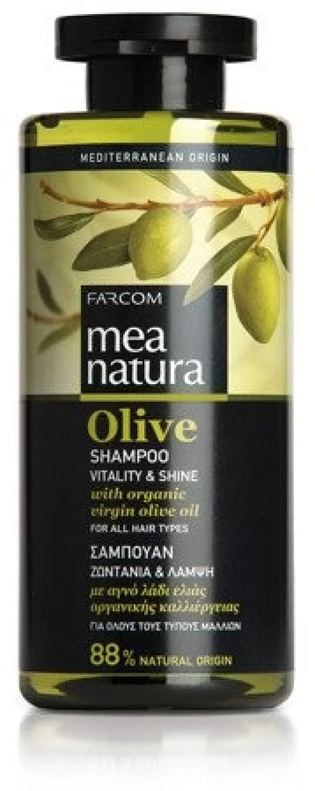 Champô Olive para Todo o Tipo de Cabelo