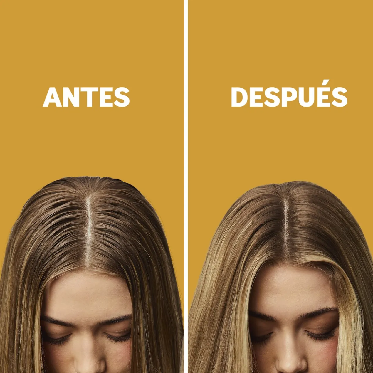 Champô Seco Light & Blonde