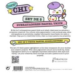 Chi Conjunto de 5 Sublinhadores Pastéis