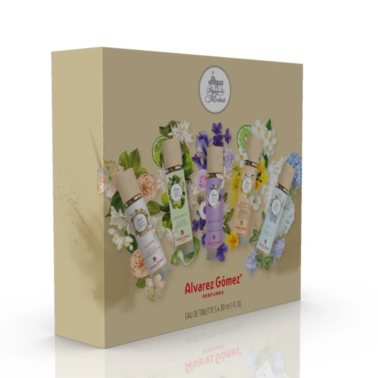 Coffret Discovery Aguas Frescas