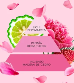 Coffret La Vie en Rose