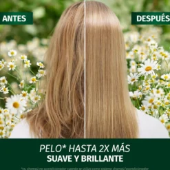Condicionador Brilho & Revitalização com Camomila