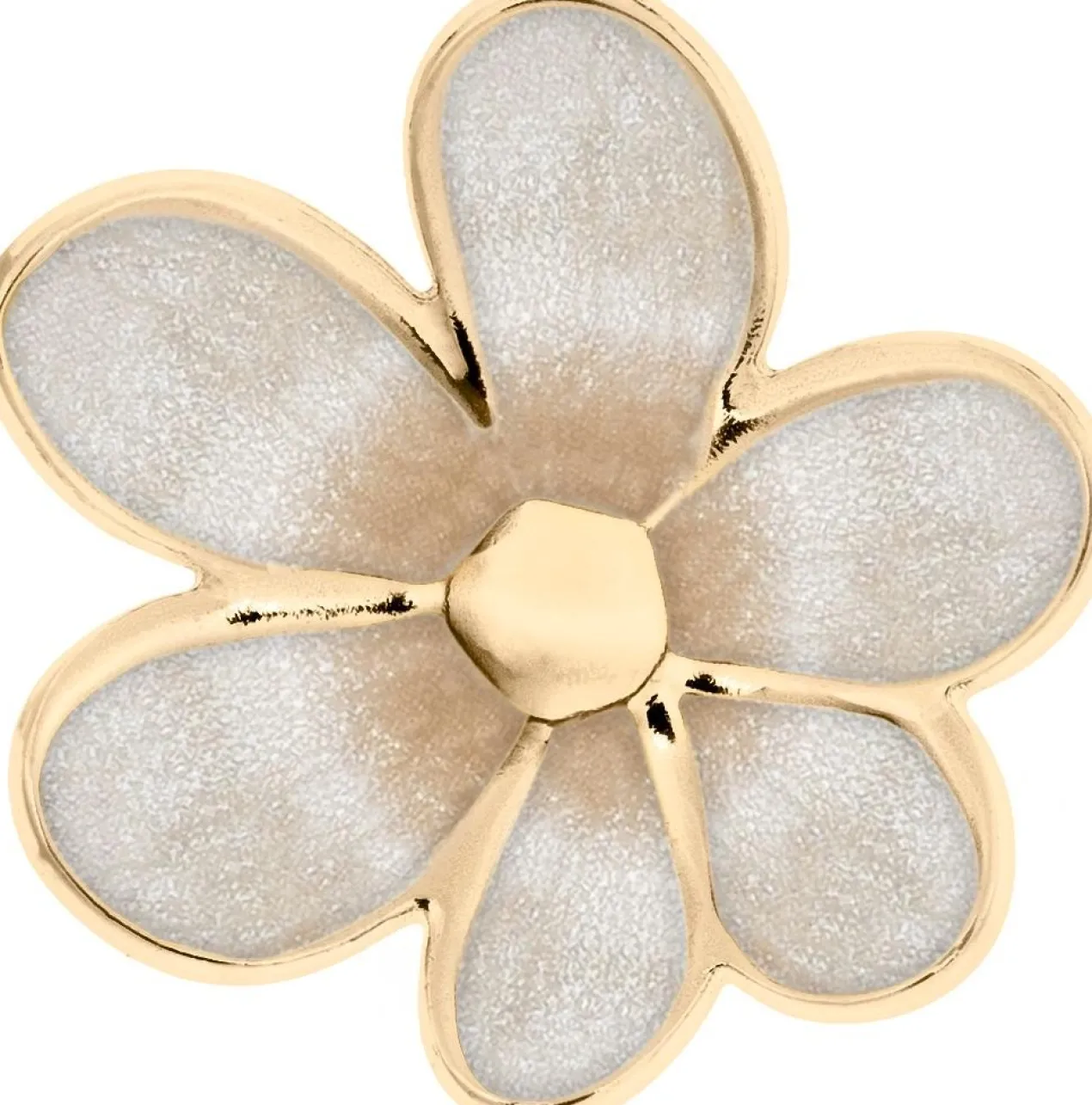 Conjunto Myclaw Hothouse Florals
