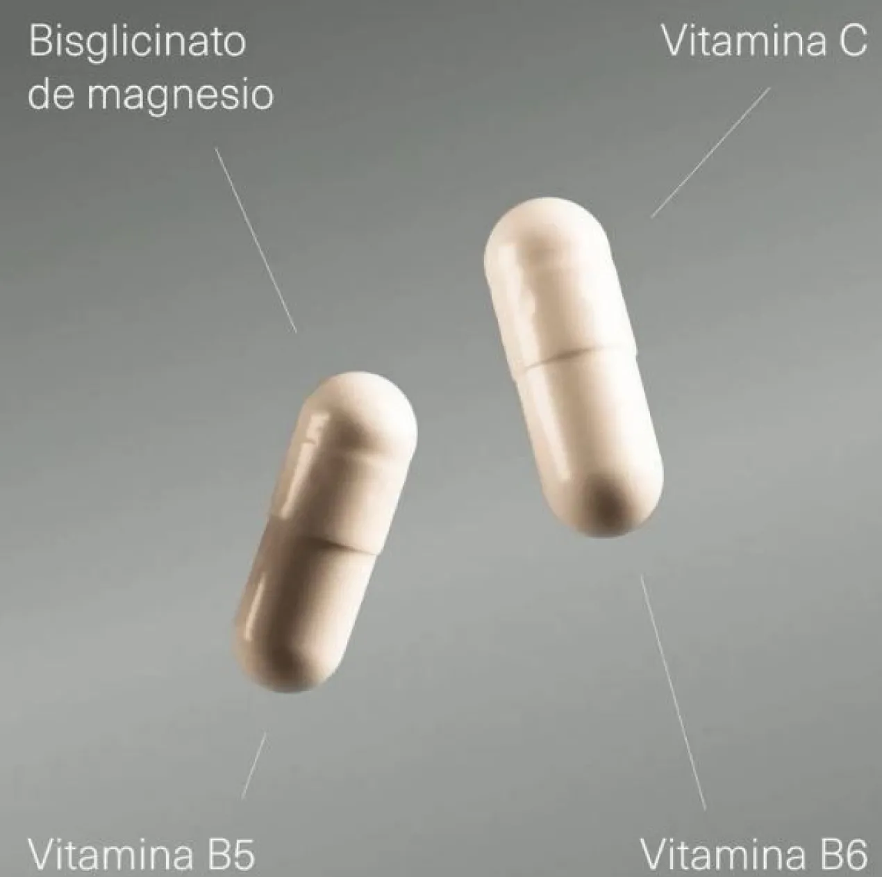 Cápsulas Bisglicinato de Magnésio + Vitamina B5, B6 e C