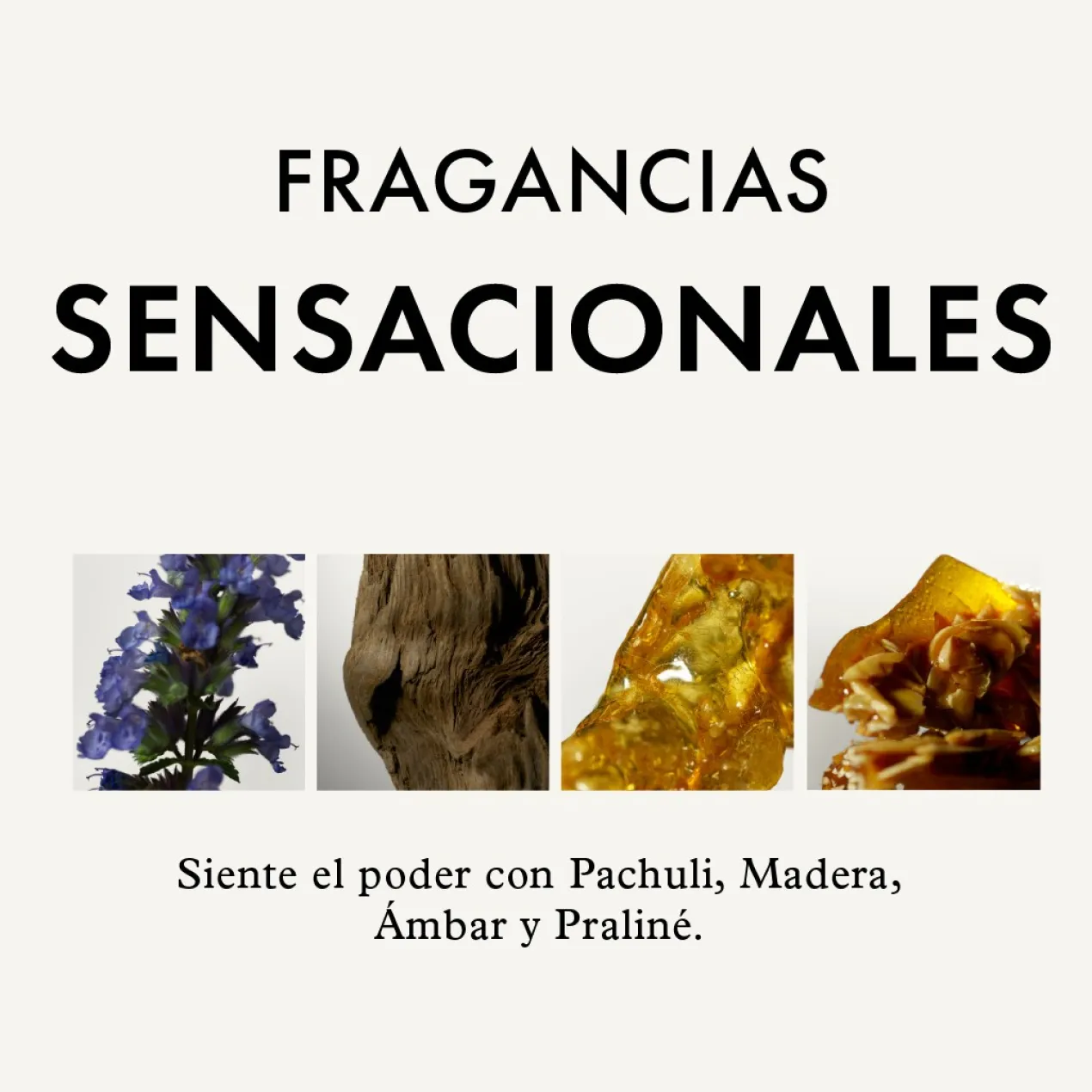 Creme Definidor de Caracóis