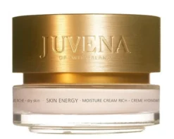 Creme Skin Energy Moisture Cream Rich