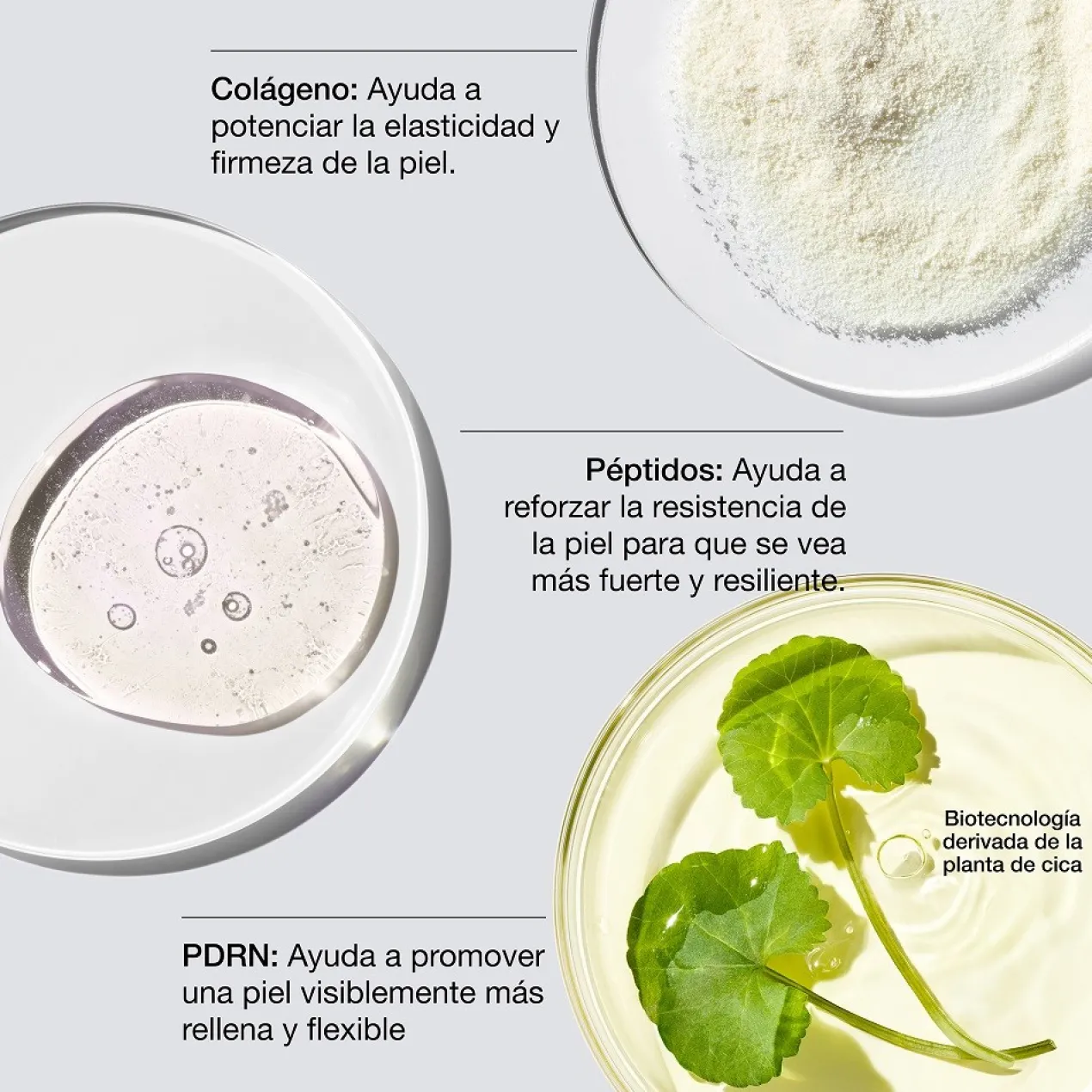 Creme Smart Collagen + PDRN