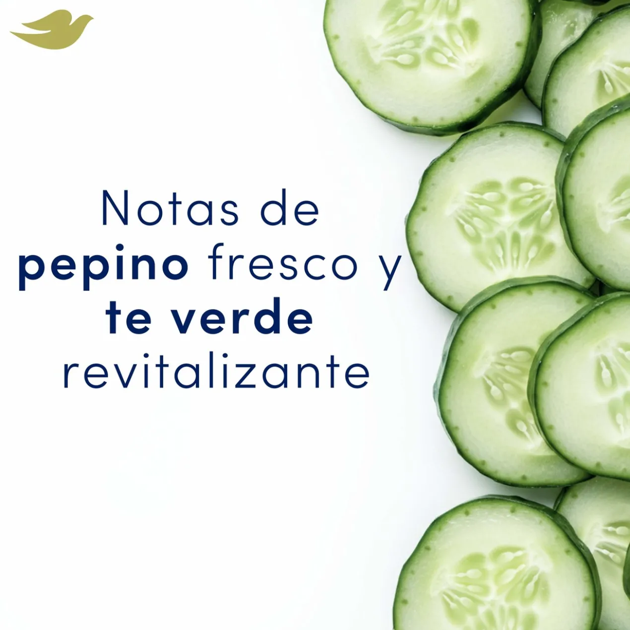 Desodorizante Roll-on de Pepino