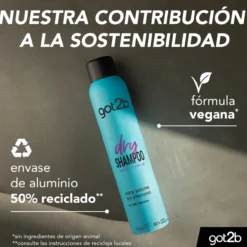 Dry Shampoo Extra Volume Champô Seco