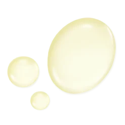 Dual Essence