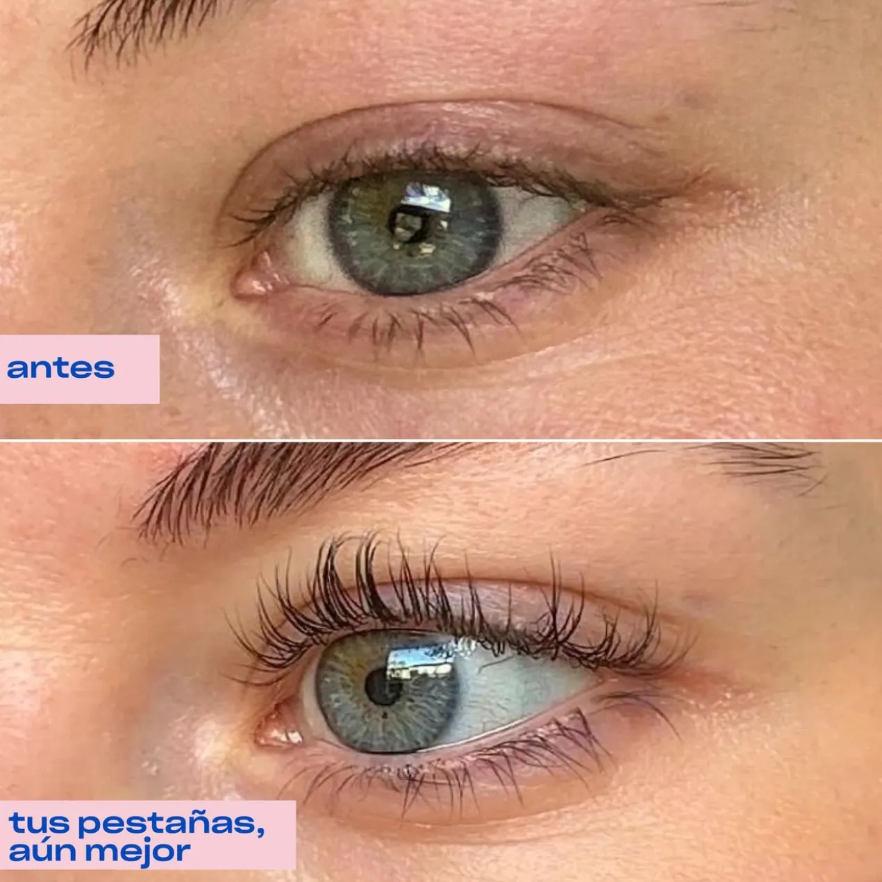 Duo Lash Lift Off