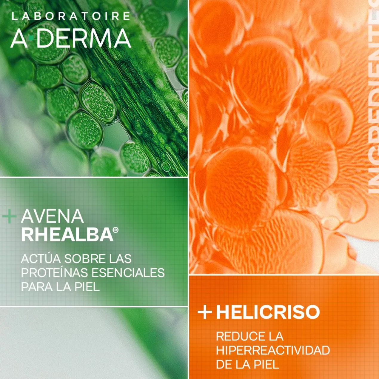 Exomega Gel de Limpeza Calmante