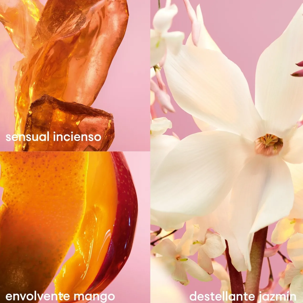Fame Desodorizante Perfumado