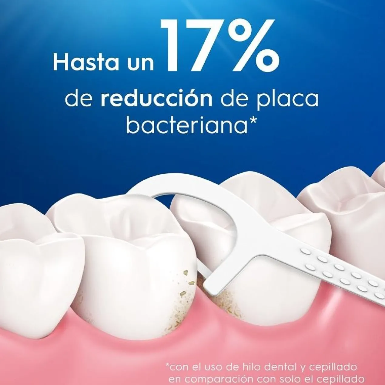 Floss Pick Dental Essential