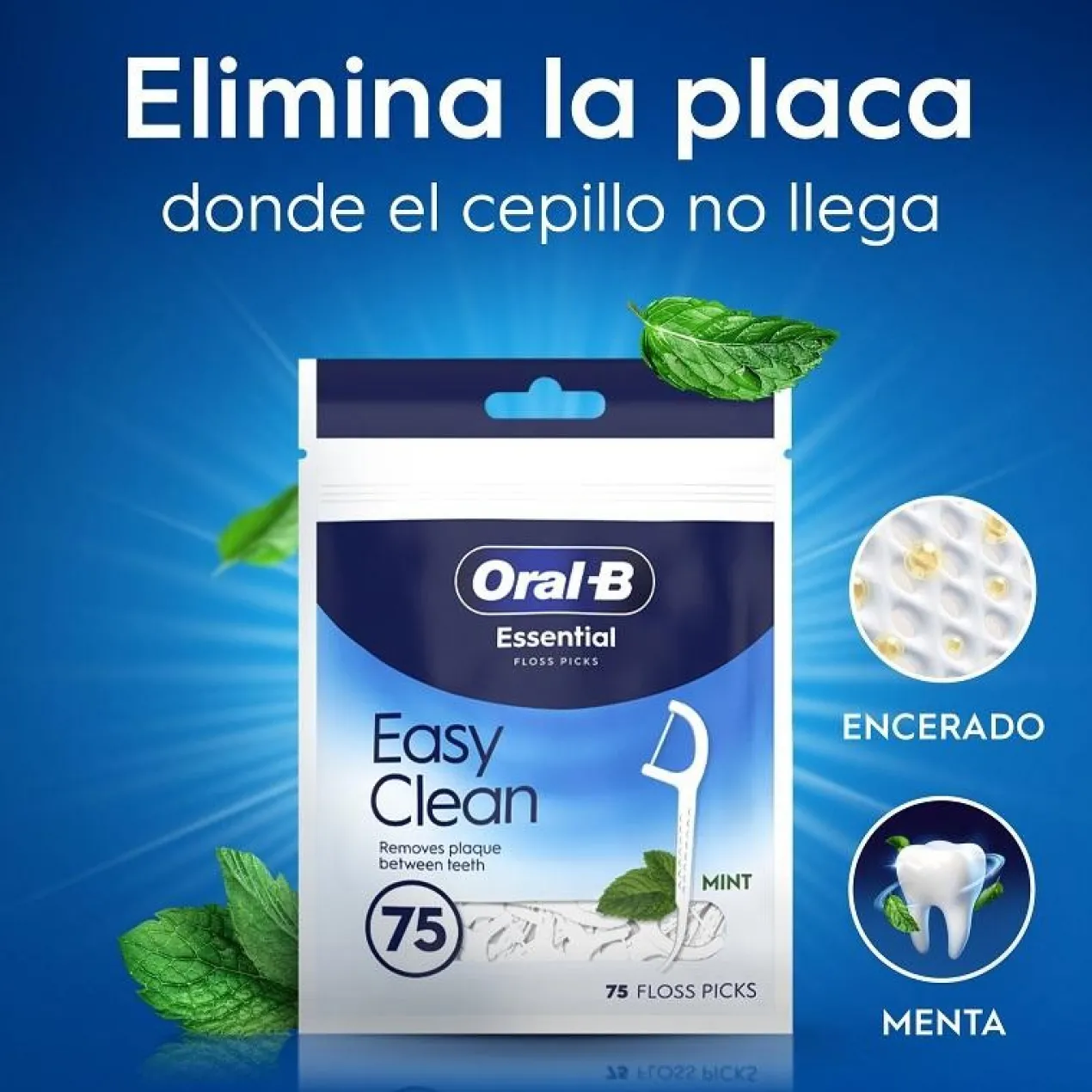 Floss Pick Dental Essential