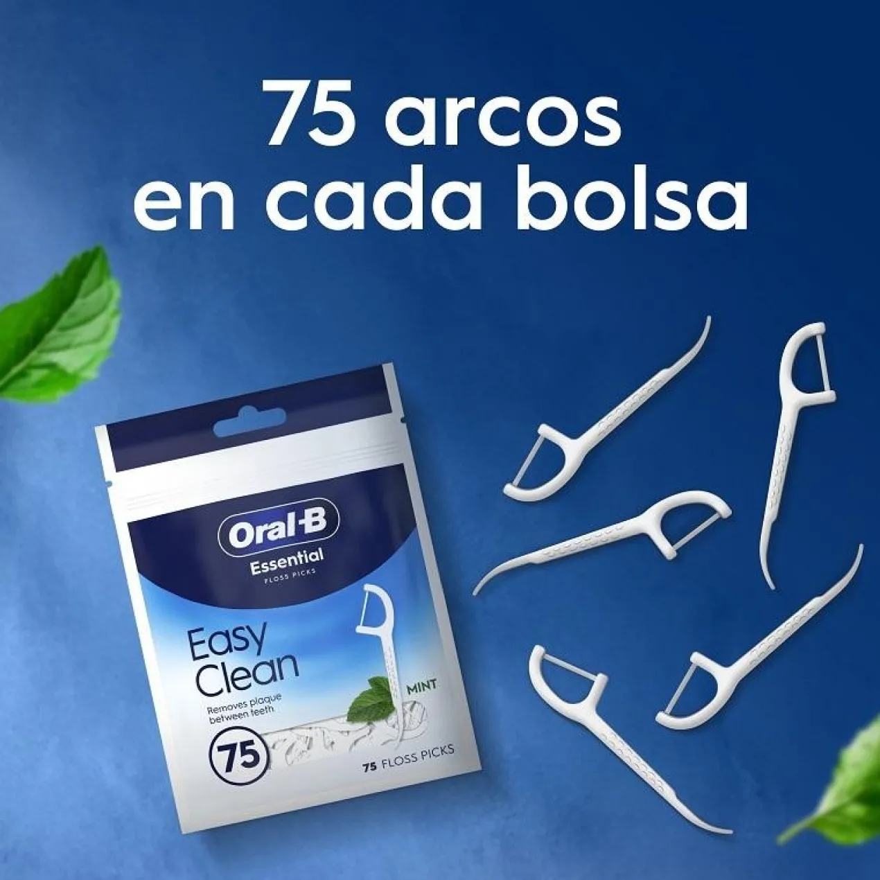 Floss Pick Dental Essential