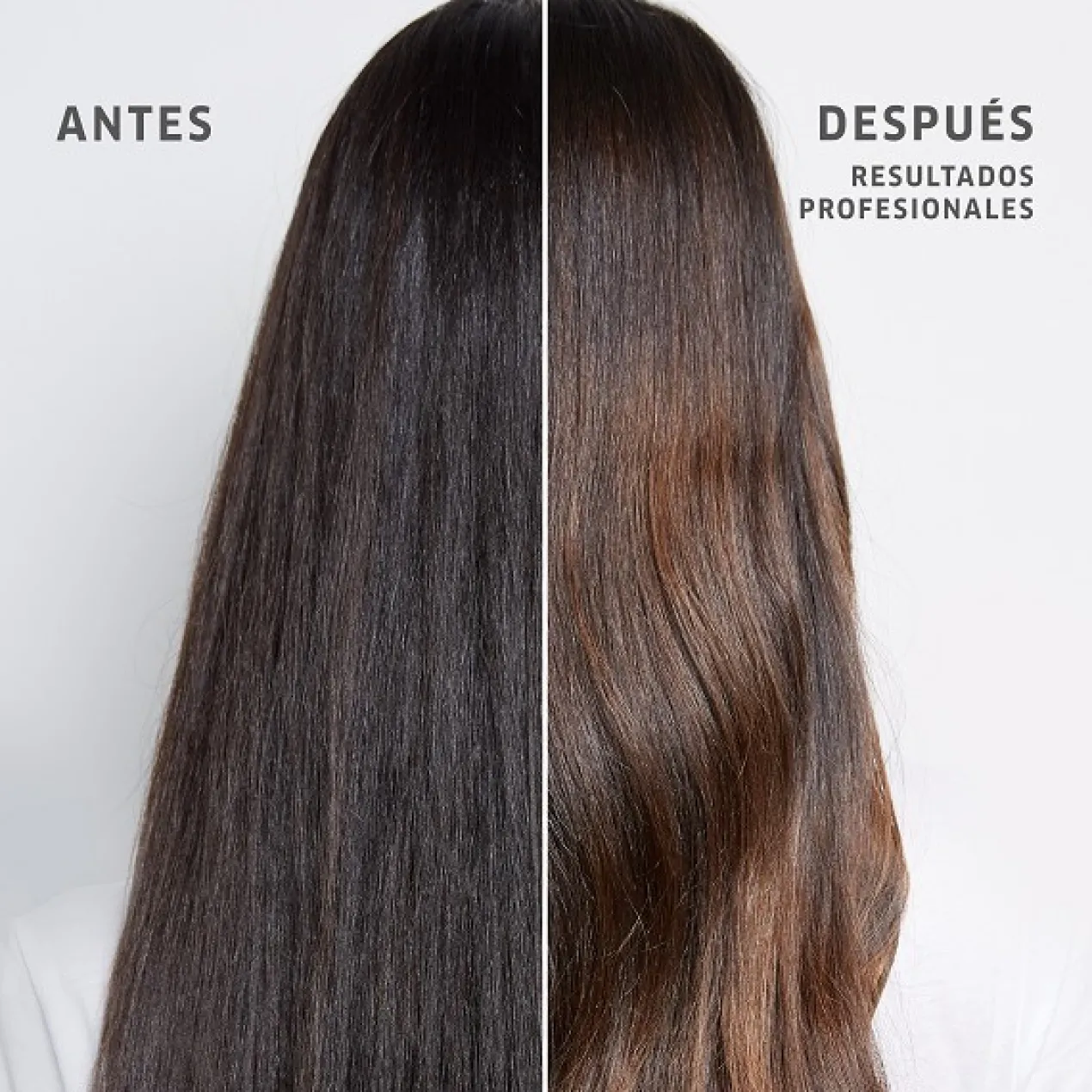 Fusion Champô de Reparação Intensa
