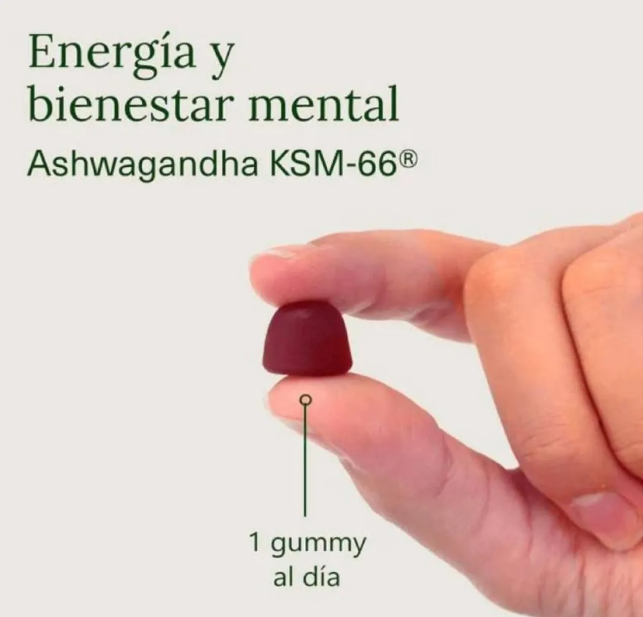 Gomas Ashwagandha KSM-66 Sabor Cereja