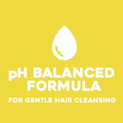 Hydrate & Defrizz + Kukuí Oil Champô