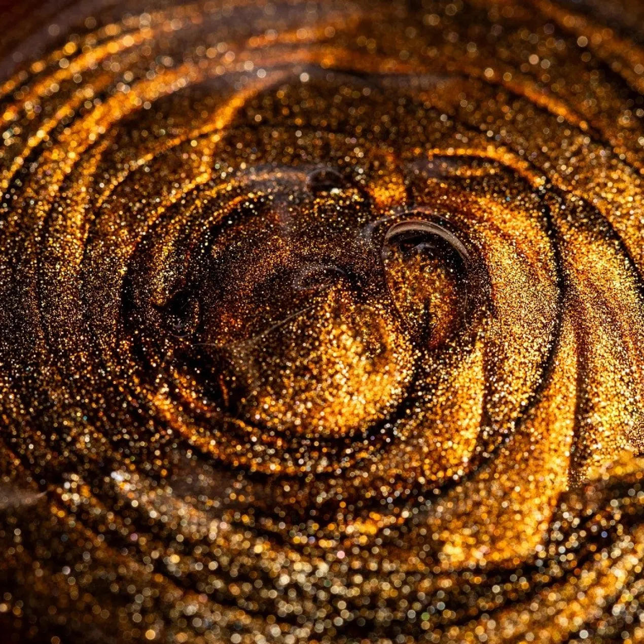 Insta-Grad Loção Autobronzeadora Iluminadora
