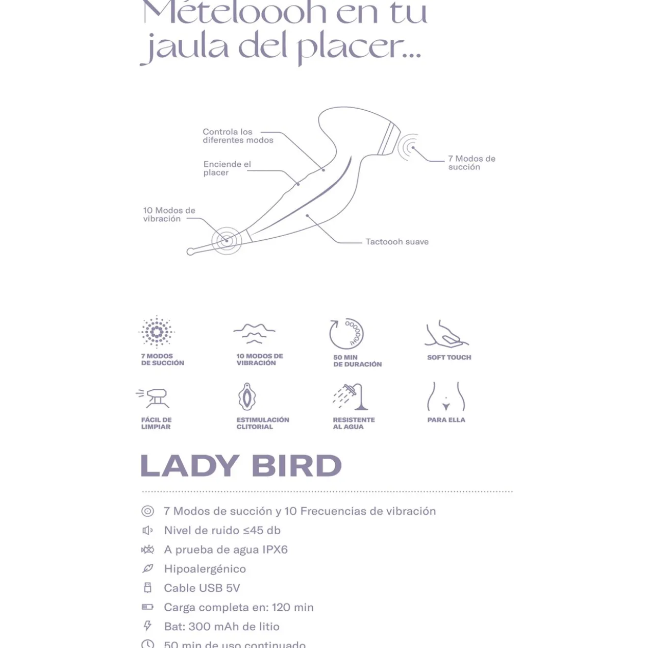 Lady Bird Sugador