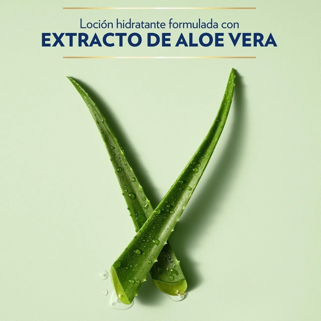 Loção Corporal Hidratante Aloe Pele Seca