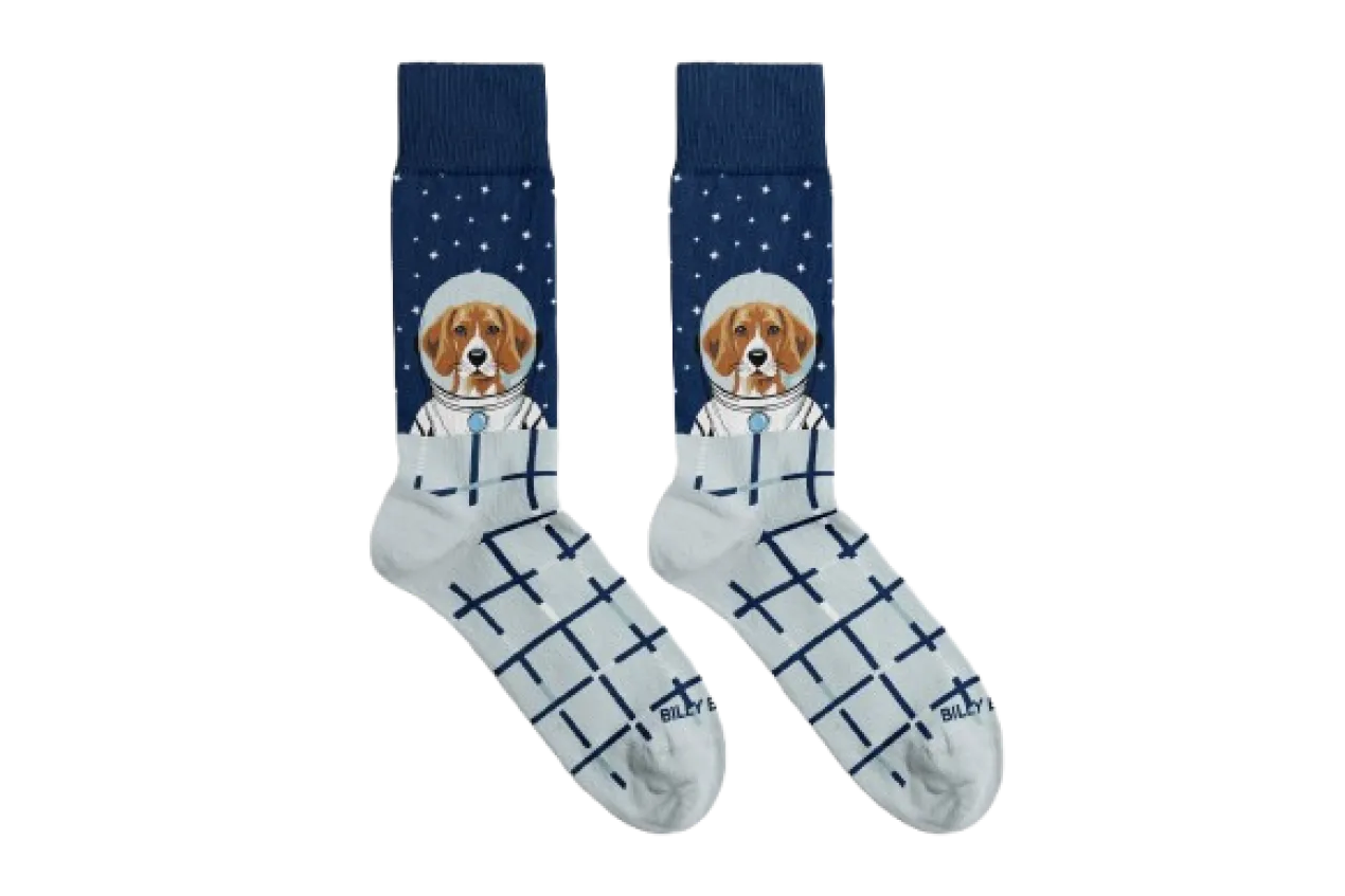 Meias Astronaut Dog