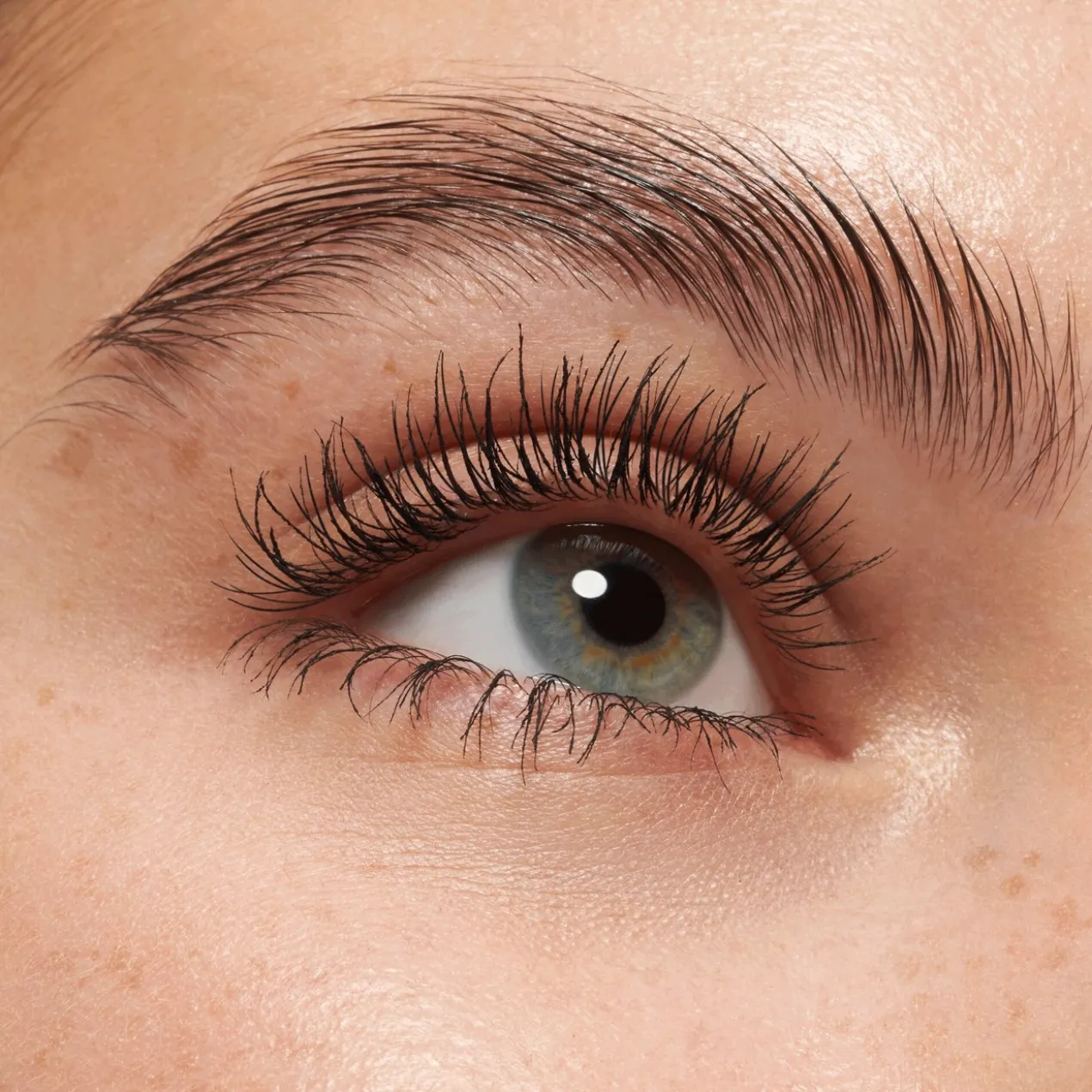 Máscara de Pestanas Lash Princess Volume