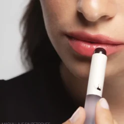 Must Have Blurring K-Pop Lip Brush Pincel Labial