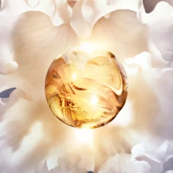 Orchidée Impériale A Creme Rico