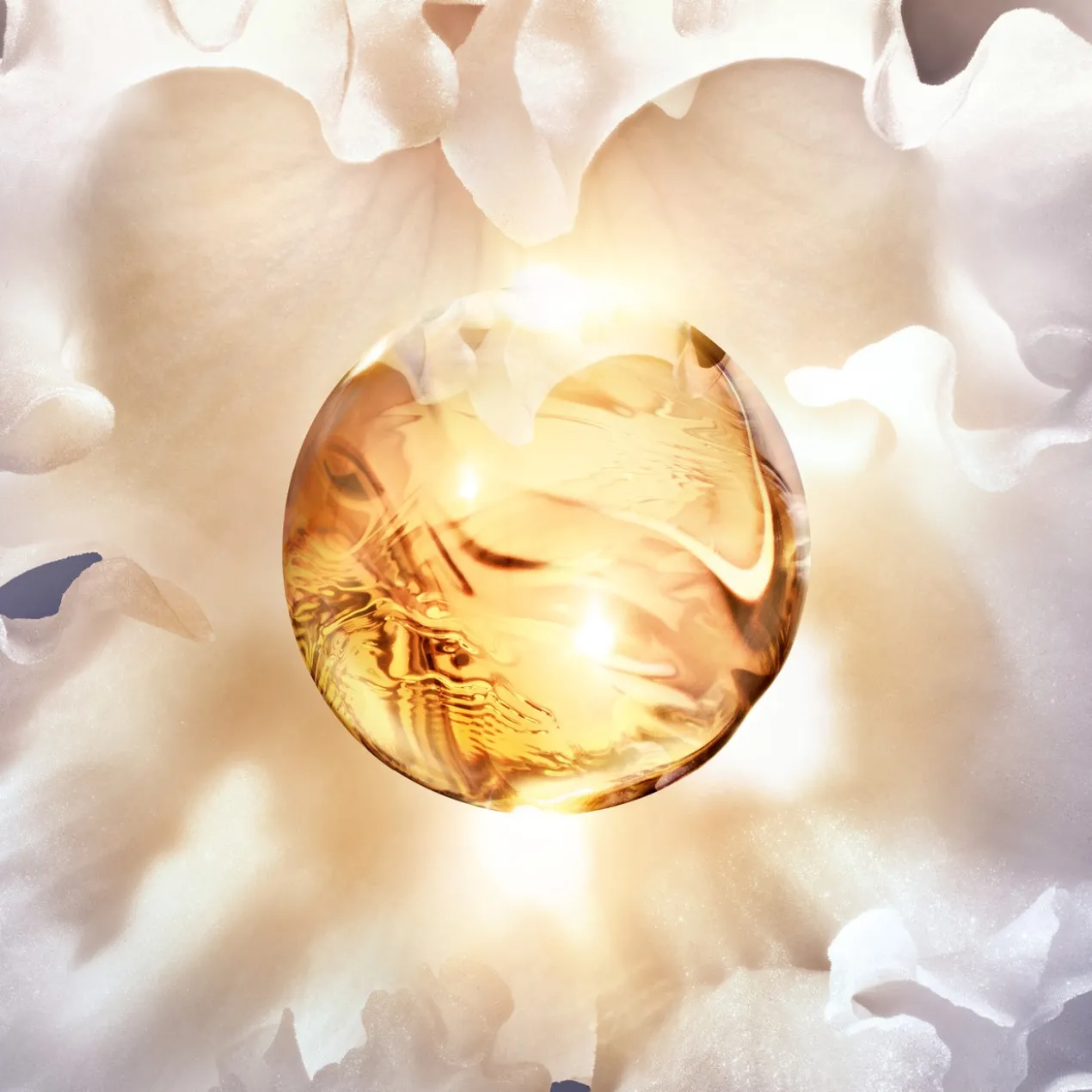 Orchidée Impériale A Creme Rico